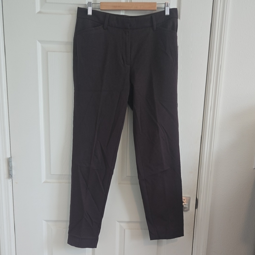41 Hawthorn Elegant Brown Women's Pants